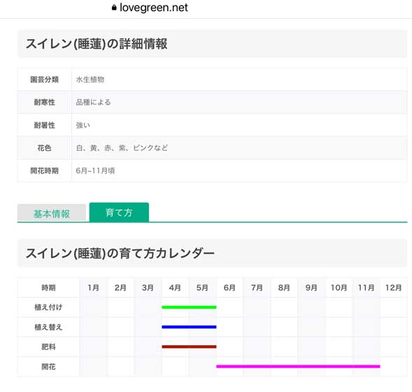 睡蓮開花時期