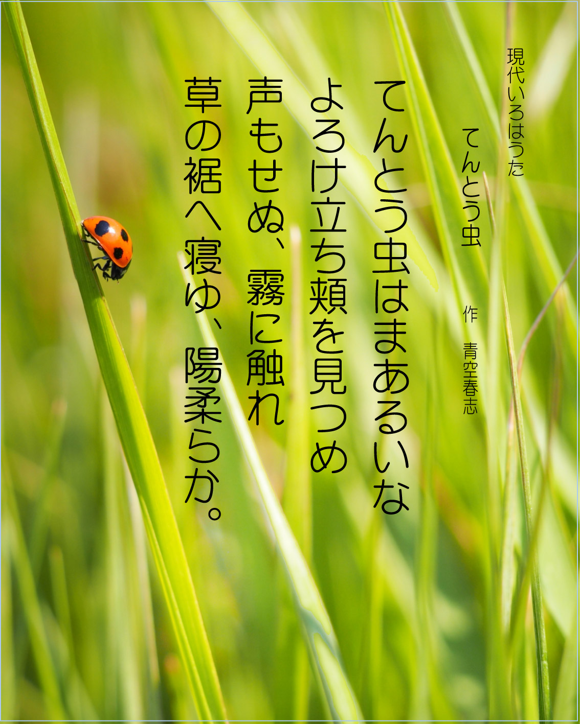いろは歌　作品 てんとう虫はまあるいな　Japanese Pangrams