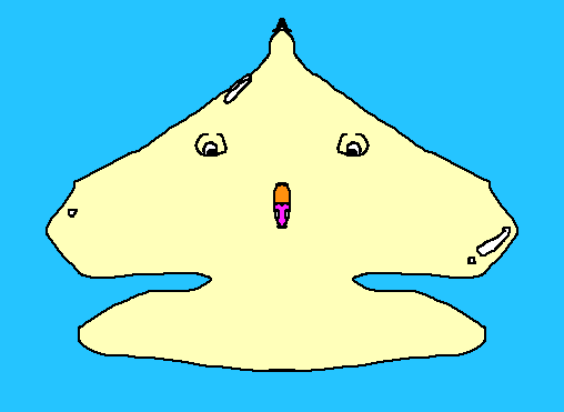 つるぴかクラゲのみよ子