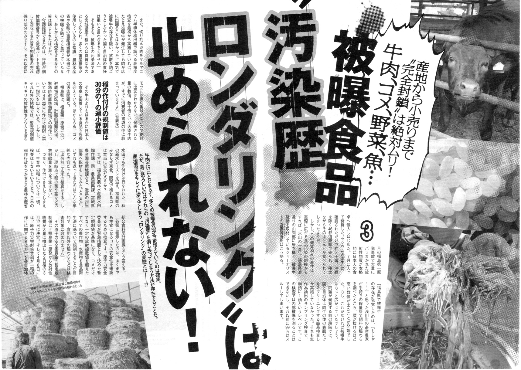 2011年東日本大地震、福島原発、放射能汚染、津波