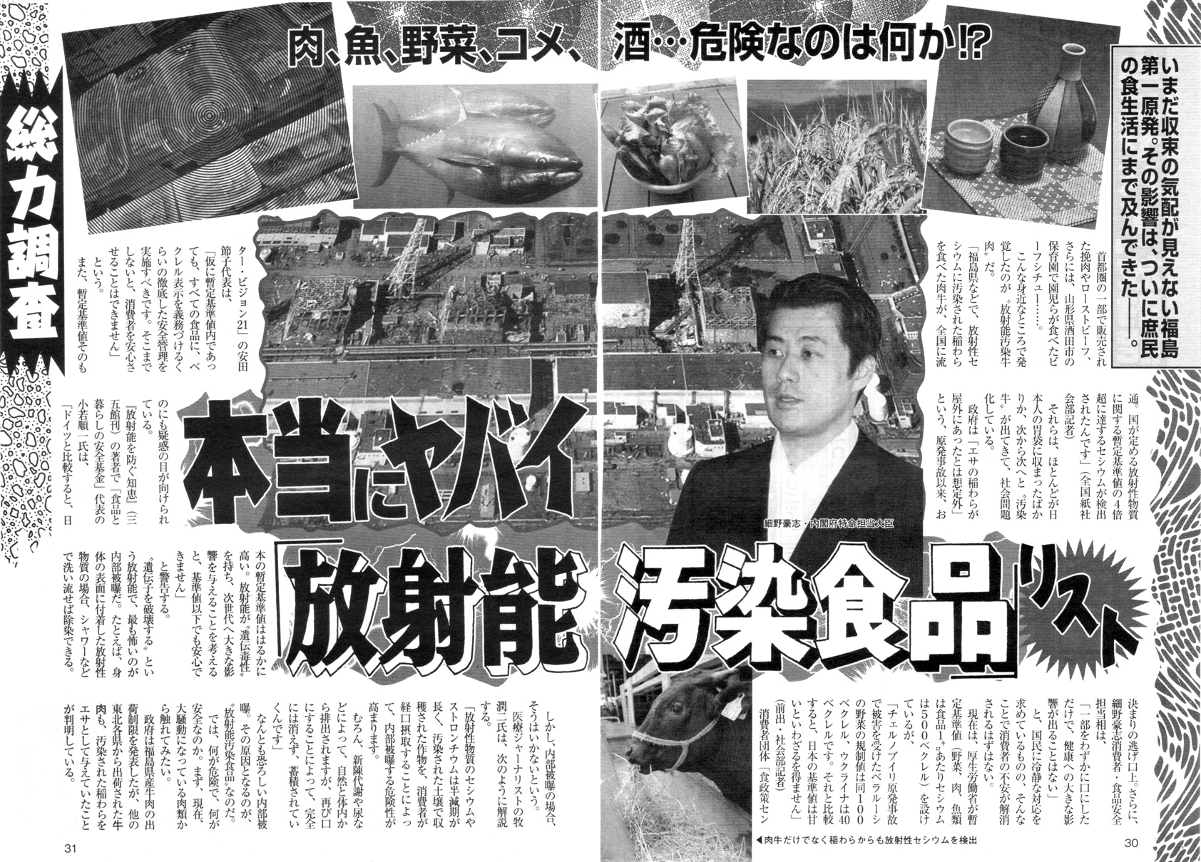 2011年東日本大地震、福島原発、放射能汚染、津波