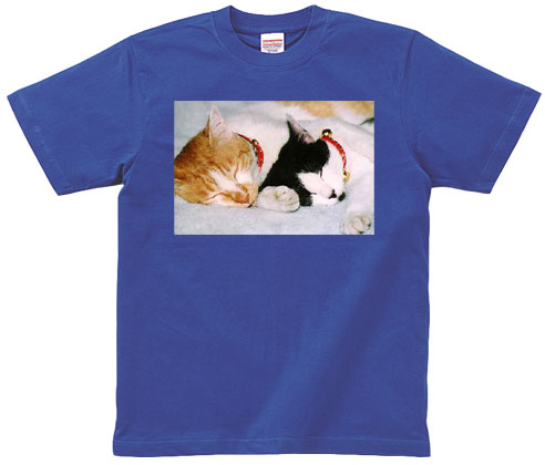 青Tシャツ_猫