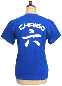 クラスTシャツ：ロイヤルブルーTシャツ5版刷り後