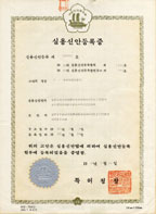 韓国特許/表
